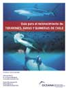 Guía para el reconocimiento de: Tiburones, Rayas y Quimeras de Chile