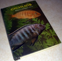 Cichlids