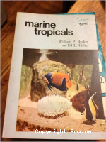 Marine tropicals