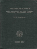 Caribbean Zooplankton