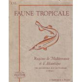 Faune Tropicale