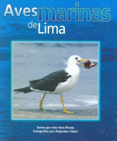 Aves marinas de Lima