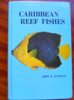Caribean reef fishes