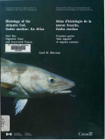Histology of the atlantic cod, Gadus morhua; An atlas