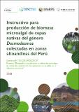 Instructivo para producción de biomasa microalgal de cepas nativas del género Desmodesmus colectadas en zonas altoandinas del Perú