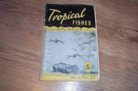 Tropical fishes