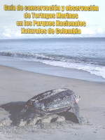 Guia de conservación y observación de tortugas marinas en los parques nacionales naturales de Colombia
