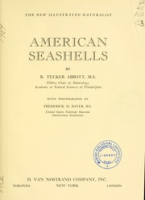 American seashells