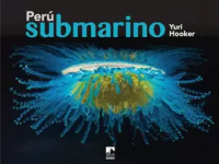 Perú submarino