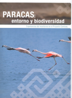 Paracas: entorno y biodiversidad