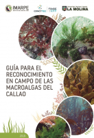 Guía para el reconocimiento en campo de las macroalgas del Callao