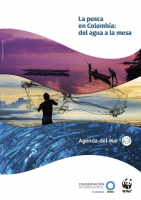 La pesca en Colombia: del agua a la mesa